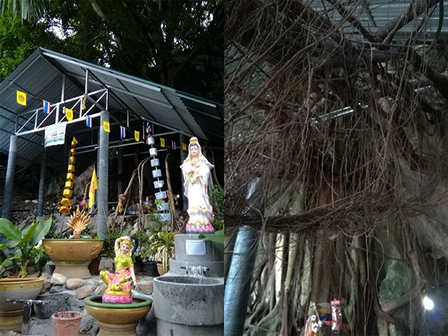 4ถ้ำน้อยหรือไทรน้อย_๑๘๐๕๑๐_0001.jpg